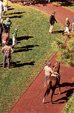 Keeneland walking ring in Lexington, Kentucky