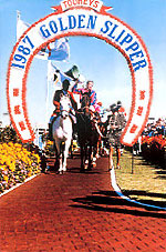 Rosehill Racecourse in Australia