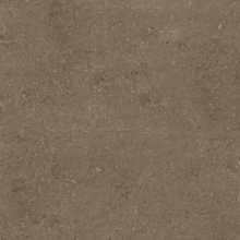 NOISETTE BEIGE (SPECIAL ORDER)